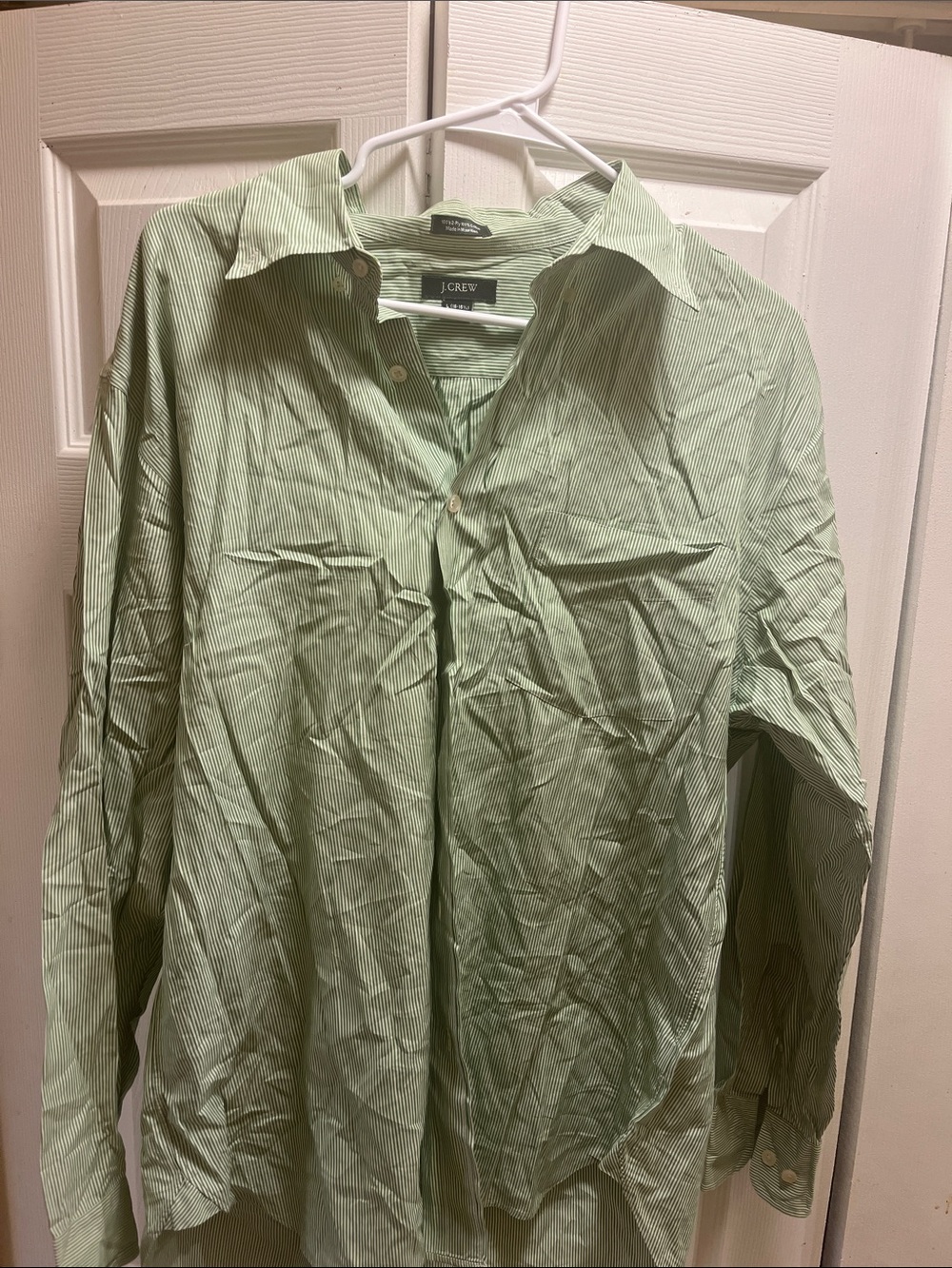 J. Crew Men's Pale Green Button-Up Dress Shirt